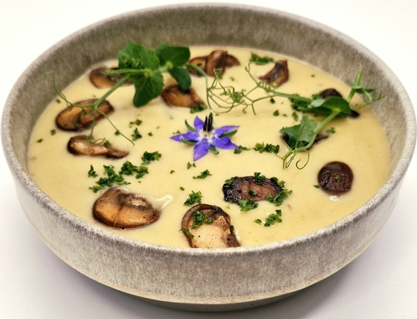 Potage : Velouté de champignons des grottes